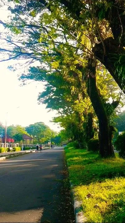 TAMAN YANG RINDANG| UNIVERSITAS JEMBER #Garden #Park #Greenspace # ...