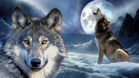 Wolves Howling at the Moon | HD Howling At The Moon Wallpaper | Happy ...