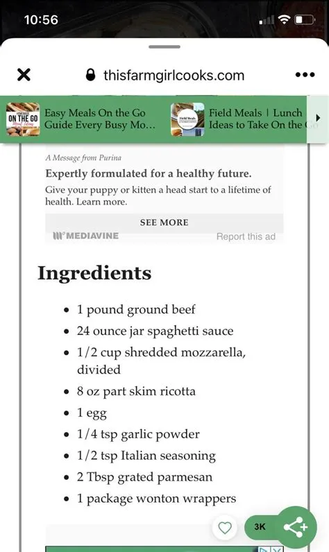 by Kerry Lynn on LunchTime | Field meals, Spaghetti sauce, Wonton ...