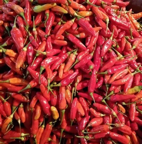 di buah & sayur | Ide makanan, Sayuran, Makanan