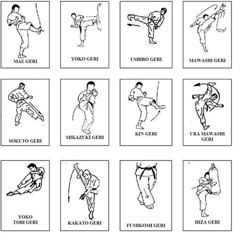 Karate_Basics_Kicks | Karaté, Karaté shotokan, Kata shotokan