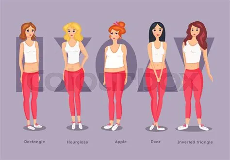 Set of Female Body Shape Types. | Stock vector | Colourbox