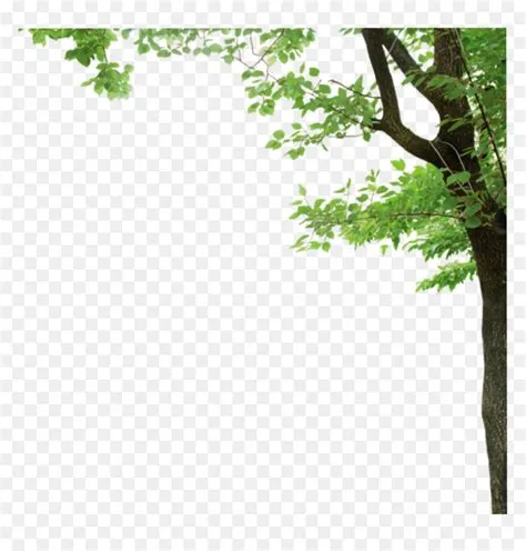 Tree Border Png, Transparent Png - vhv