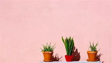 Pink Desktop Wallpaper with Pastel Wall Plants