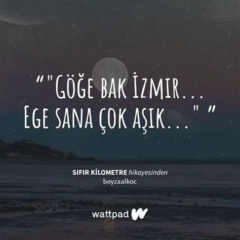 Napcankimoldugumu adlı kullanıcının 3391 ve 0 kilometre panosundaki Pin ...