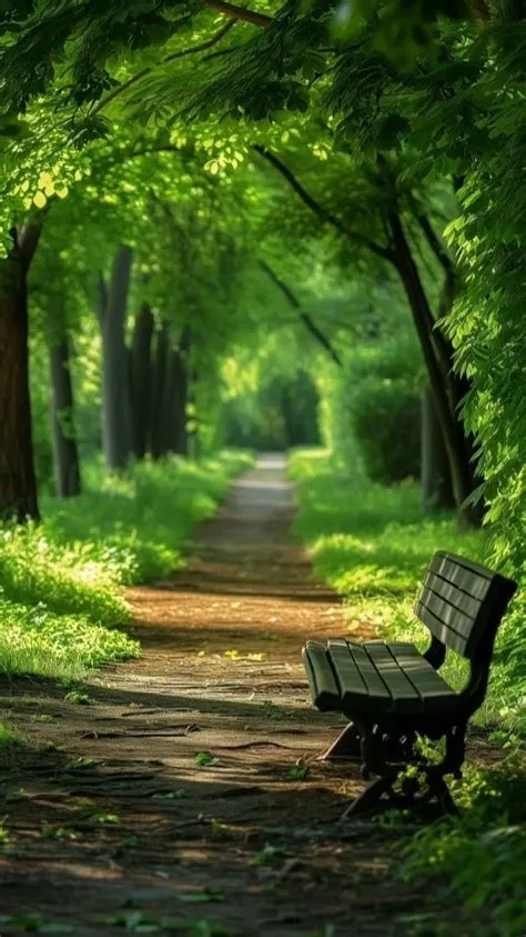 by DJ ALBERTO SOARES on OรSIS | Beautiful locations nature, Amazing ...