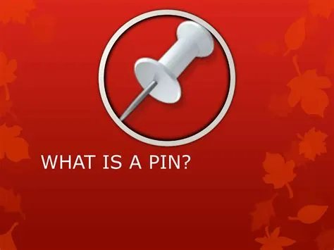 What is a pin | PPT