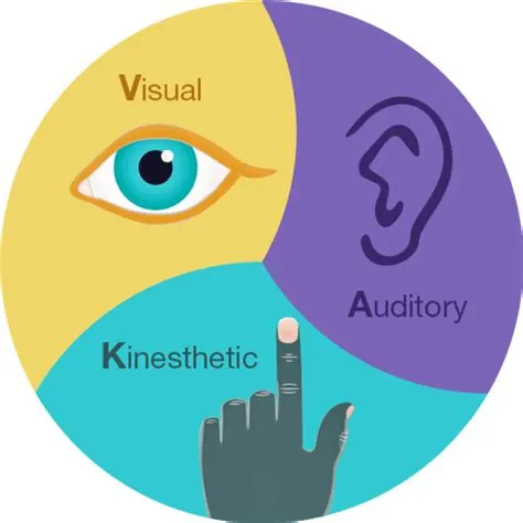 The 3 + 1 NLP learning styles and how to use them in hypnosis