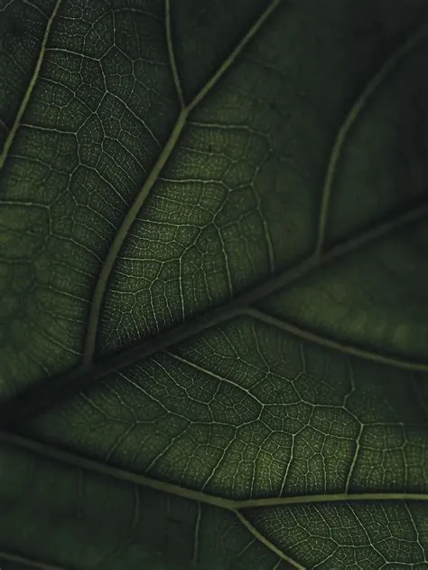 Green Home Book | Interior design books, Interior design solutions ...