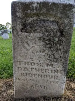 How to turn yourself into a QSMP egg | BlockBench Tutorial [English ...