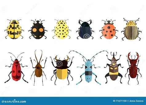 Bug icons. Insect set. stock vector. Illustration of bark - 71671150