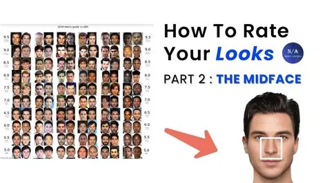 Face Ratio Editor at Virginia Barr blog