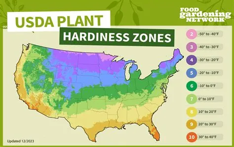 Growing Zones for Spinach - Food Gardening Network
