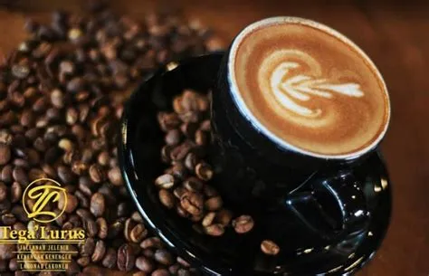 30+ Cafe di Jember Kota, Bisa Buat Nugas, Tentunya Murah!