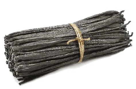 Vanilla | Indonesian Vanilla Bean | Bulk Vanilla Products | Tripper