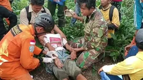 Pria Pencari Tanaman Gebang Hilang di Hutan Baluran Banyuwangi ...