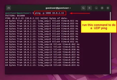 How to Do a UDP Ping in Linux [3 Effective Methods]