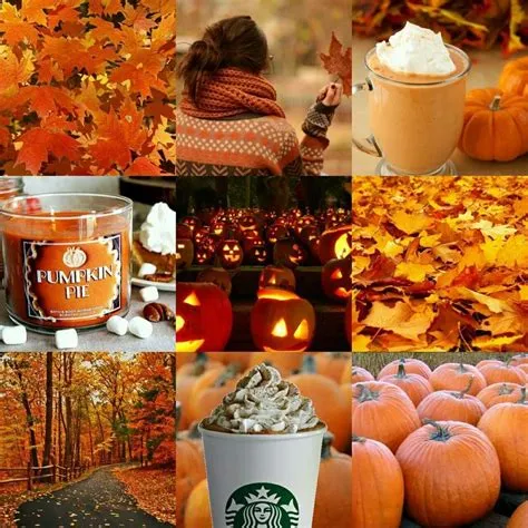 by Ericka Toombs on Fall/Halloween/Thanksgiving | Autumn aesthetic ...