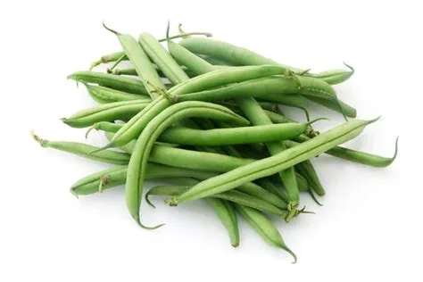 What's the Difference Between Green Beans and String Beans?