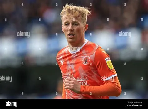 PHP FULL STACK WEB DEVELOPER ROADMAP | O QUE PRECISAS SABER PARA CHEGAR ...