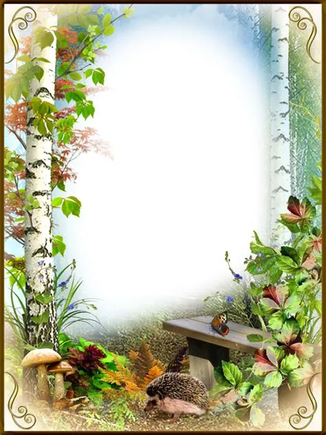 Photo Frame In Nature at Susan Slaton blog