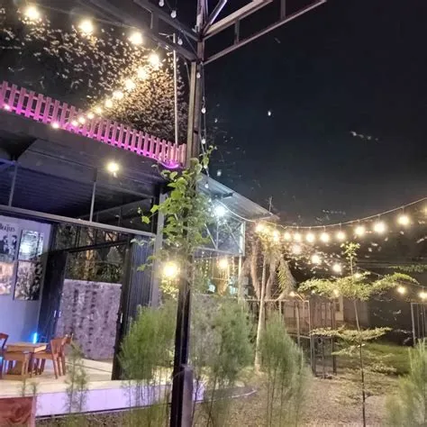 New Story Cafe Jember (@storycafe.id) • Instagram photos and videos