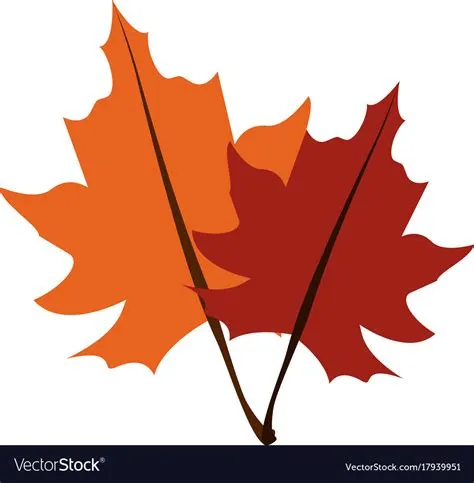Fall Leaf Icon Aspen Leaf, Autumn Leaf, Birch Leaf, Leaf In Fall,
