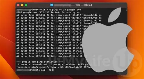 How to Send a Ping on macOS - Pi My Life Up