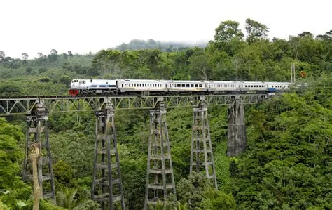 Kereta Api Pagi Jember-Banyuwangi: Dari Pekebunan Tembakau, Terowongan ...