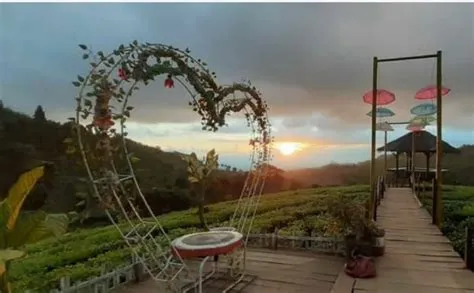 Rekomendasi Liburan Bersama Keluarga, Inilah 9 Objek Wisata Alam Jember ...