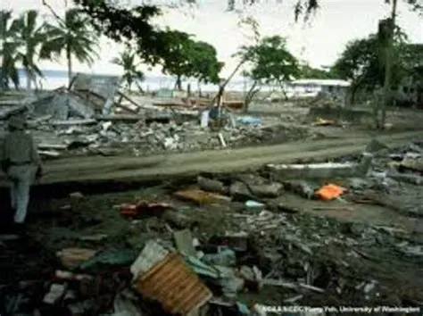 Deadly Tsunamis - By: Matt Mercadante timeline | Timetoast timelines