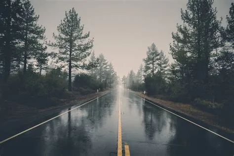 [100+] Rainy Nature Wallpapers | Wallpapers.com