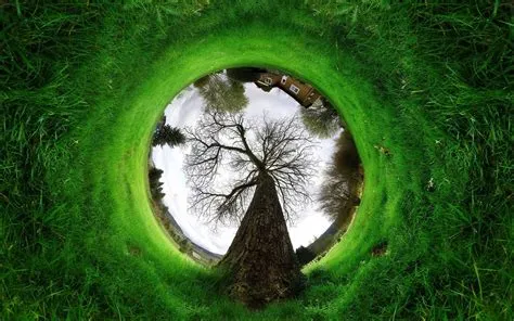 360 Degree polar panorama photos | Nature photography, Creative ...
