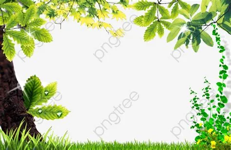 How To Make A Natural Border at Millard Turner blog