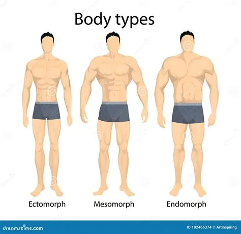 Types Of Body Shapes Male With Pictures - Printable Forms Free Online