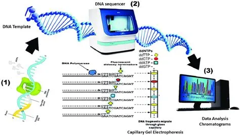 Dna Sequencing