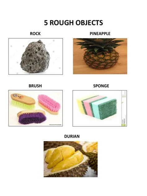 5 Rough Objects | PDF