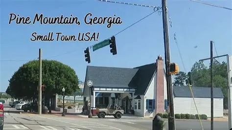 Driving Tour of Pine Mountain, Georgia and Callaway Gardens! - YouTube