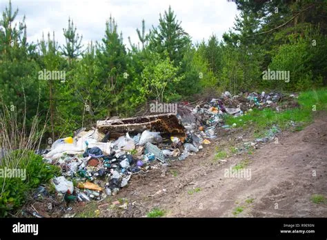 Pollution of the forest by household rubbish. A pile of garbage in the ...