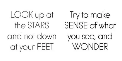 Font | Webfont & Desktop | MyFonts