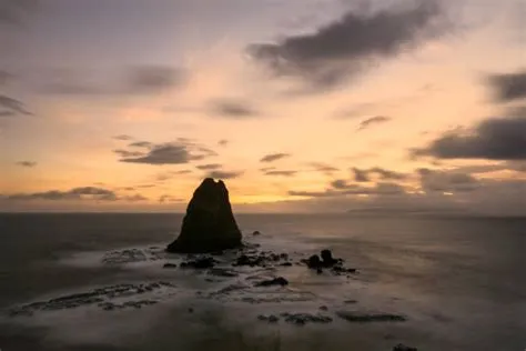 470+ Jember Photos Stock Photos, Pictures & Royalty-Free Images - iStock