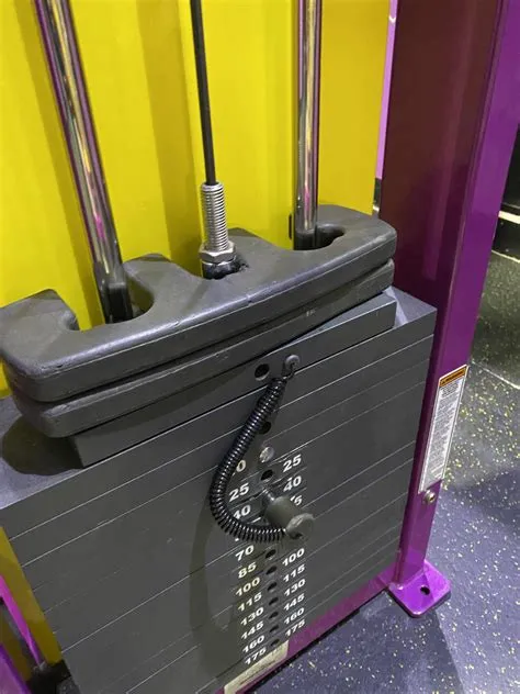 Cable Machine Max Weight at Bridget Powers blog