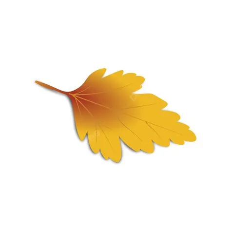 Fall Leaf Vektor Ikon Fall Leaves Icon Vectors & Illustrations For