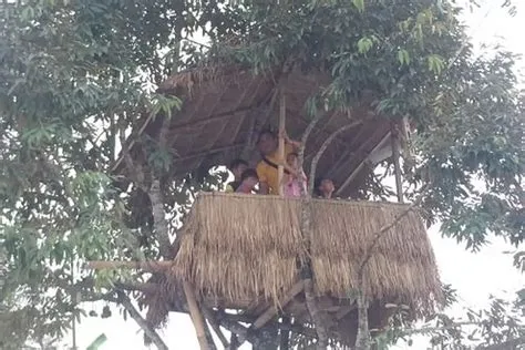 Pengungsi di Rendang Buat Rumah Pohon, Bisa Dijadikan Objek Wisata ...