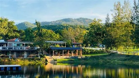 The Pine Cafe x เตาà¸à¸šà¸‚นม - สั่งà¸à¸²à¸«à¸²à¸£à¹€à¸”ลิเวà¸à¸£à¸µ | Wongnai x LINE MAN