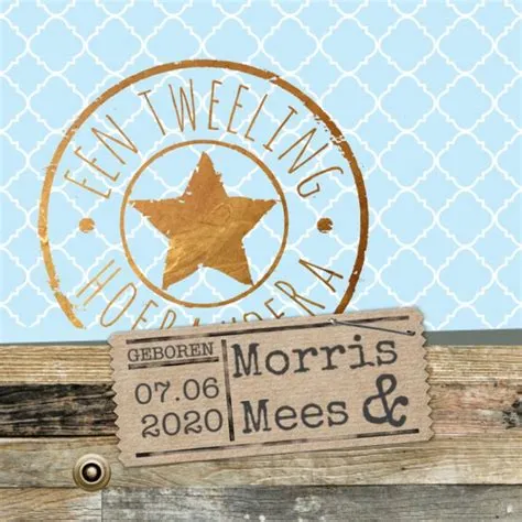 lovz.nl | tweeling geboortekaartjes stoer met hout en koper stempel ...