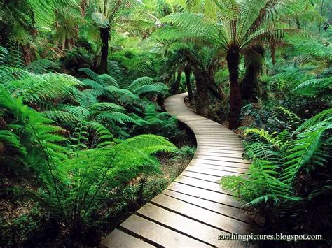 🔥 Free Download Soothing Peace Of Mind Pictures Serene Calming ...