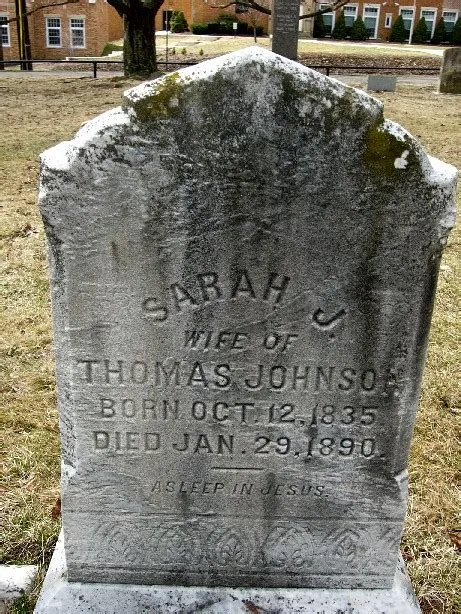 Famous Actresses With Brown Hair