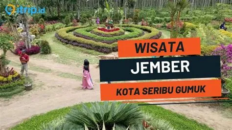 15 Tempat Wisata di JEMBER Terbaru dan Terkenal ♥️ Wisata Jember yang ...