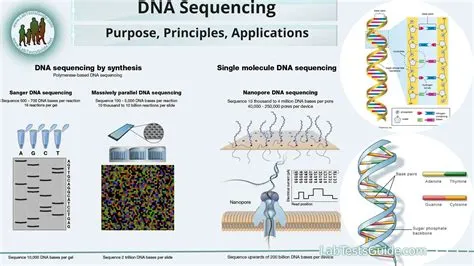 DNA Sequencing Technique | Lab Tests Guide